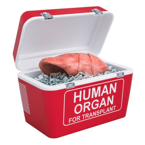 organ donor cooler